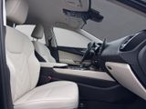 LEXUS NX 350h Business Connect Paket+360CAM+Sitzbelüf.