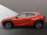 LEXUS UX 250h*F-SPORT-D*1.HD*ALLW.REIF*SHZ* NAVI*CARP*