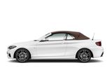 BMW 230 i-Cabrio+M-Sportpaket+Parkassist+HiFi+LED+