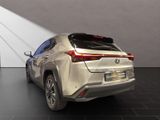 LEXUS UX 250H*STYLE*1HD* 15J-GARANTIE