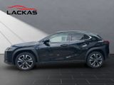 LEXUS UX UX Crossover Style Edition 250h Frontantrieb