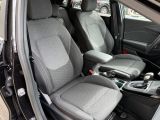 FORD Puma Titanium 360°Kamera/ACC/Navi/AppConn./BLIS
