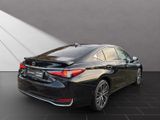 LEXUS ES 300 300h Business Line