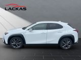 LEXUS UX 300 h F-Sport Design Technologie-Paket