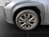 LEXUS UX 250H*SCHECKHEFT*TOTW*LEDER*
