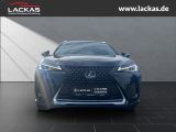 LEXUS UX 250h 250 h 250h*LED*KAMERA* TOP*TWW*DAB*SERVI