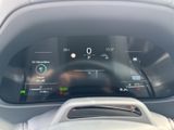 LEXUS UX 300h F-Sport E FOUR Schiebedach+360°+LEDER