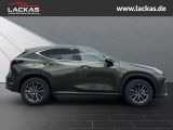 LEXUS NX 350 h 243 PS Executive Inter ieur Paket + Tec