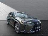 LEXUS UX 250h*F-SPORT-D*1.HD*ALLW.REIF** 15J-GARANTIE*
