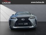 LEXUS UX 250h STYLE*FWD*EDITION*FACE LIFT*LED*CARPLAY*