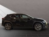 LEXUS UX 250 h F-Sport Design Allwetter
