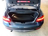 BMW 220i Luxury Line Leder Klima PDC 17 LM