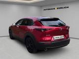 MAZDA CX-30 Homura 2WD AHK+BOSE+NAVI+360°KAMERA+LHZ