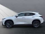 LEXUS NX 350h h 243 PS Executive Inter ieur +Techno Pk