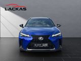 LEXUS UX 300h F-Sport E FOUR Schiebedach+360°+LEDER