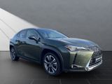 LEXUS UX 250 h*LED*TOP* KAMERA*NAVI*FACELIFT