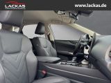 LEXUS NX 350 h 243 PS Executive *15-J ahre Garantie* I