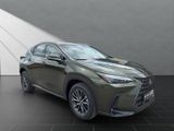 LEXUS NX 350h h 243 PS Executive Inter ieur Paket + Te