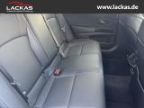 LEXUS ES 300 H*BUSINESS*LEDER*EL.SIT ZE*SCHIEBEDACH*