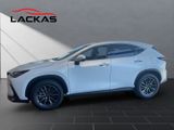 LEXUS NX 450h Executive,PANO,Interieur +Technik Paket