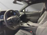 LEXUS UX 250h*F-SPORT-D.*1HD*NAVI*LEDER* 15J-GARANTIE*