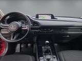 MAZDA CX-30 Homura 2WD AHK+BOSE+NAVI+360°KAMERA+LHZ