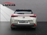 LEXUS UX 250h*STYLE*1HD*CARPLAY*SHZ* 15J-GARANTIE*