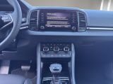 SKODA Karoq Balance Klima Rückfahrkamera Sitzheizung