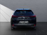 LEXUS UX 250h Style SHZ Kamera Alu