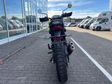 TRIUMPH Scrambler 400XC NEU! Sofort Verfügbar