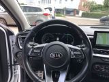 KIA XCeed 1.6 GDI DCT6 OPF Plug-in-Hybrid Platinum Edition