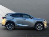LEXUS NX 300 h F-Sport E-Four*1HAND*SCHECKHEFT*PANO*