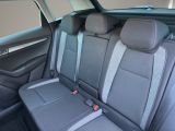 SKODA Karoq Drive 125 Klima Einparkhilfe Standheizung