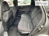 FORD Kuga Plug-In Hybrid ST-Line Allwetterreifen