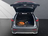 LEXUS NX 450h 450h+ F Sport