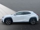LEXUS UX 250h*FSPORT-D.*1.HD*ALLW.REIF** 15J-GARANTIE*