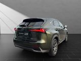 LEXUS NX 300 h*EXECUTIVE*4x4*1HD* 15J-GARANTIE*