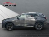 LEXUS NX 350h Business*360°*TOTW*PDC*SITZLÜFTUNG*