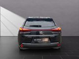 LEXUS UX 250h*STYLE*1HD*CARPLAY* 15J-GARANTIE*