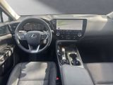 LEXUS NX 450h + Executive Line E-Four Interieur+Techno