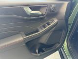 FORD Kuga Plug-In Hybrid ST-Line X Navi Leder Digitales Cockpit Soundsystem B & O 360 Kamera