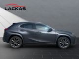 LEXUS UX 250 h*MARK LEV.MEMORY F SPORT*KEIN DESIGN*VOL