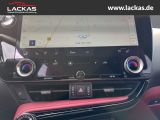 LEXUS NX 350h h 243 PS Executive *15-J ahre Garantie* 