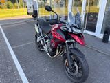 TRIUMPH Tiger 1200 GT PRO MY25 Kundenvorteil -2000?