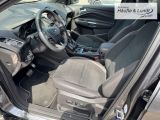 FORD Kuga ST-Line Allrad El. Heckklappe Rückfahrkam.