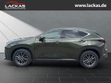 LEXUS NX 350 h 243 PS Executive Inter ieur Paket + Tec