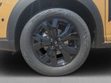 DACIA Sandero Stepway Extreme TCe 110 SHZ RFK  PDC