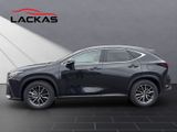 LEXUS NX 350h Business Connect Paket+360CAM+Sitzbelüf.