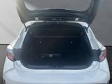 TOYOTA Corolla 1,8 Hybrid Business*BIS 15 Jahre Garanti