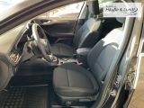 FORD Focus Turnier Titanium LED ACC Navi Rückfahrkam.